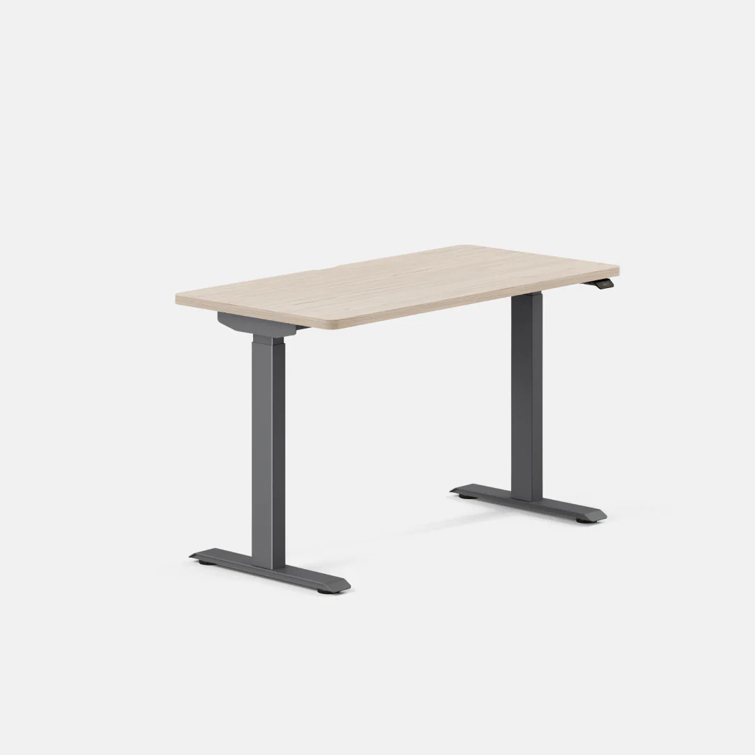 Duo Standing Desk - Image 129