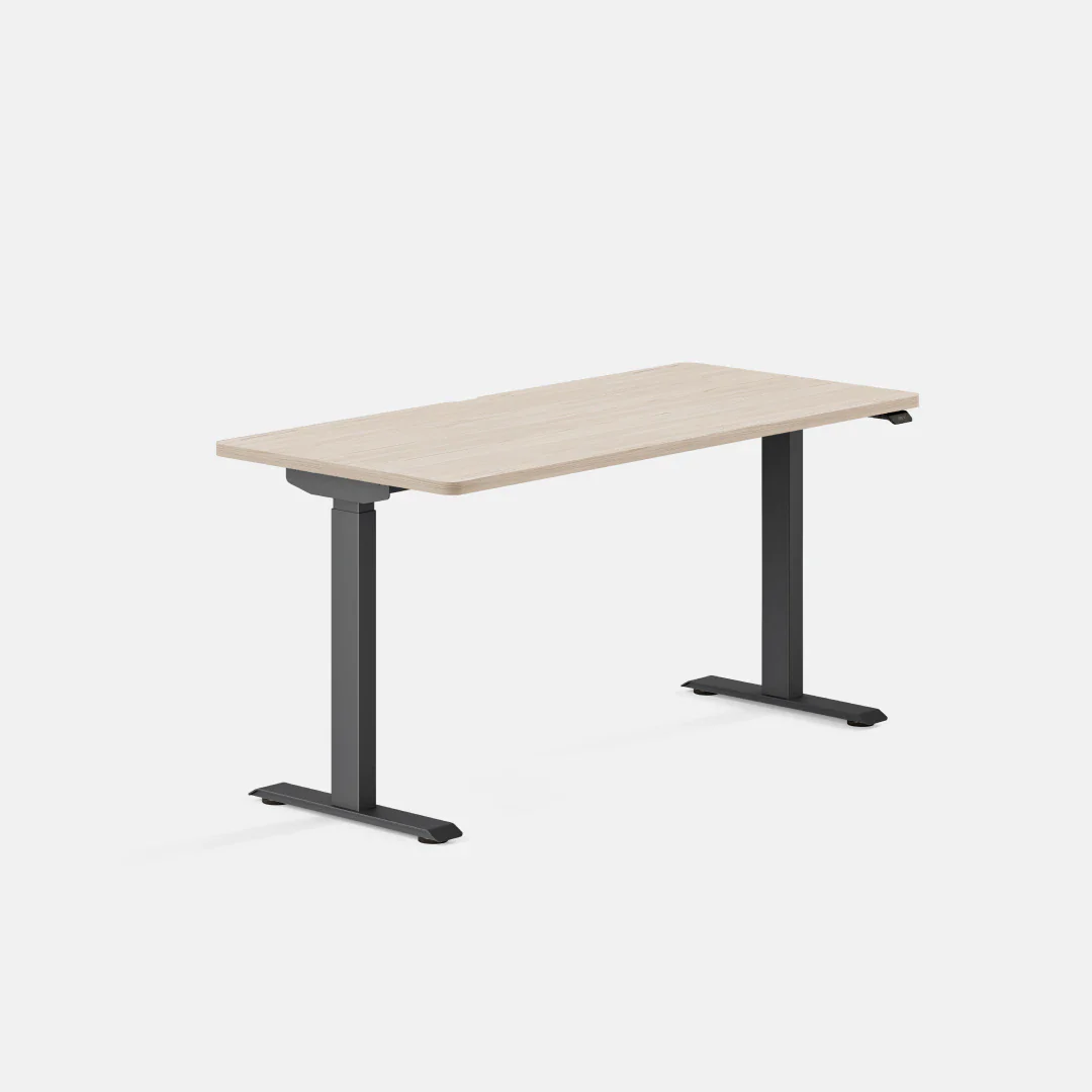 Duo Standing Desk - Image 131