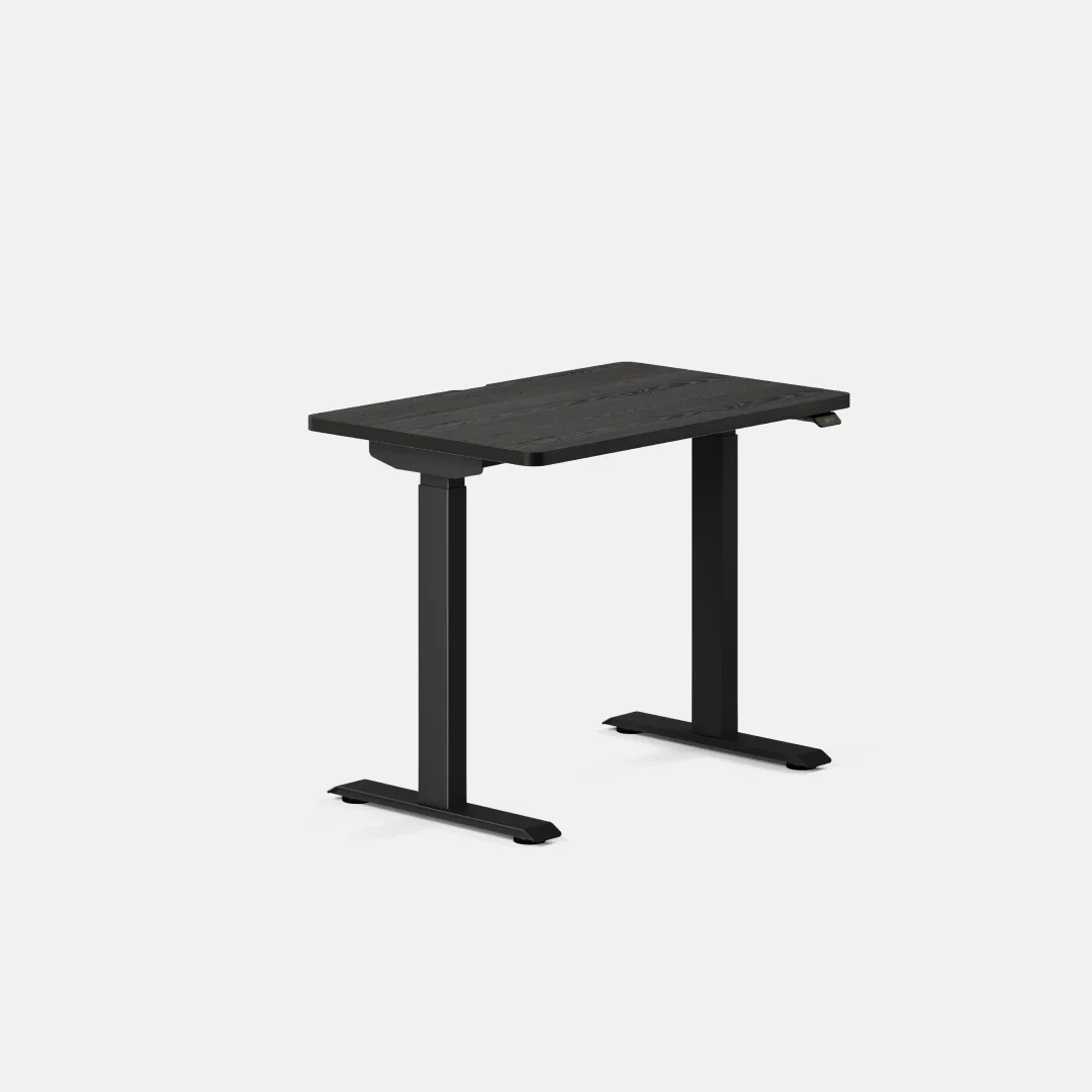 Duo Standing Desk - Image 139