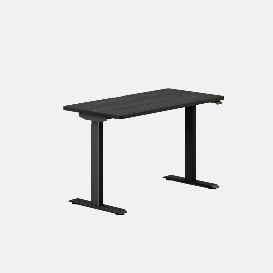 Duo Standing Desk - Image 141