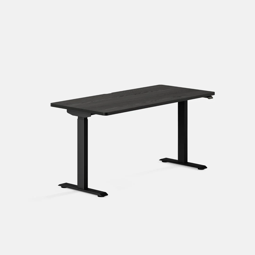 Duo Standing Desk - Image 143