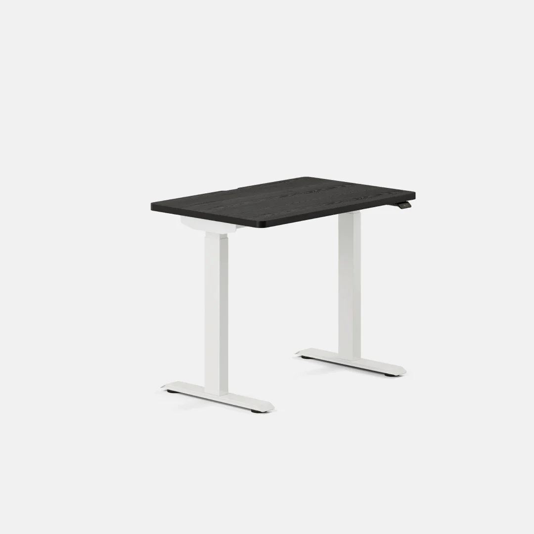 Duo Standing Desk - Image 145