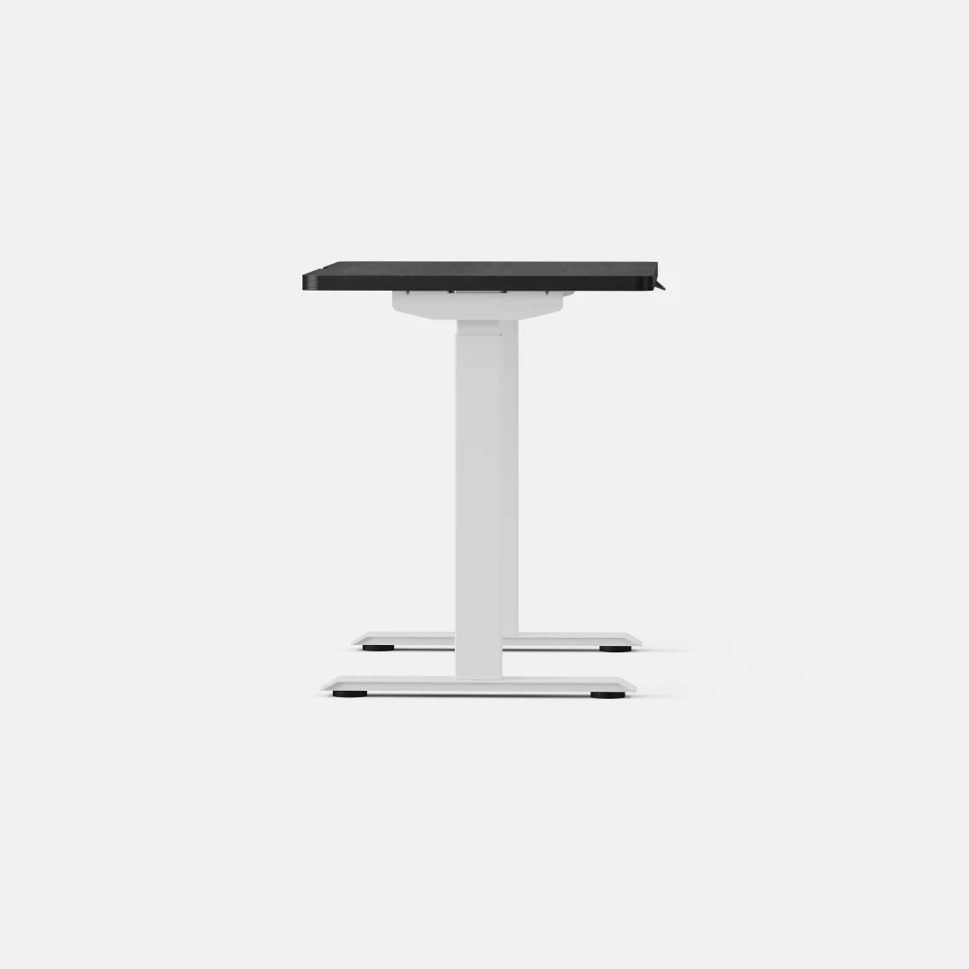 Duo Standing Desk - Image 146