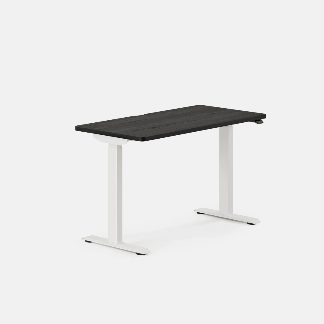 Duo Standing Desk - Image 147