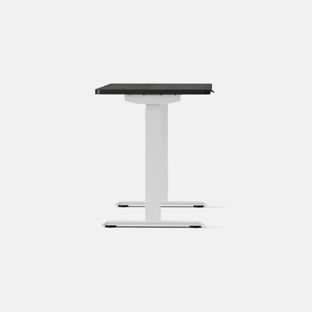 Duo Standing Desk - Image 148