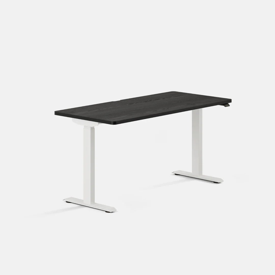 Duo Standing Desk - Image 149