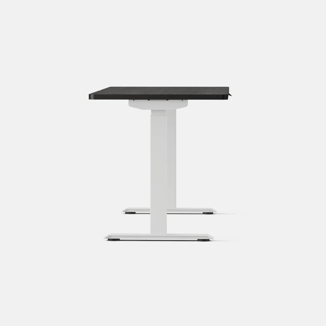 Duo Standing Desk - Image 150