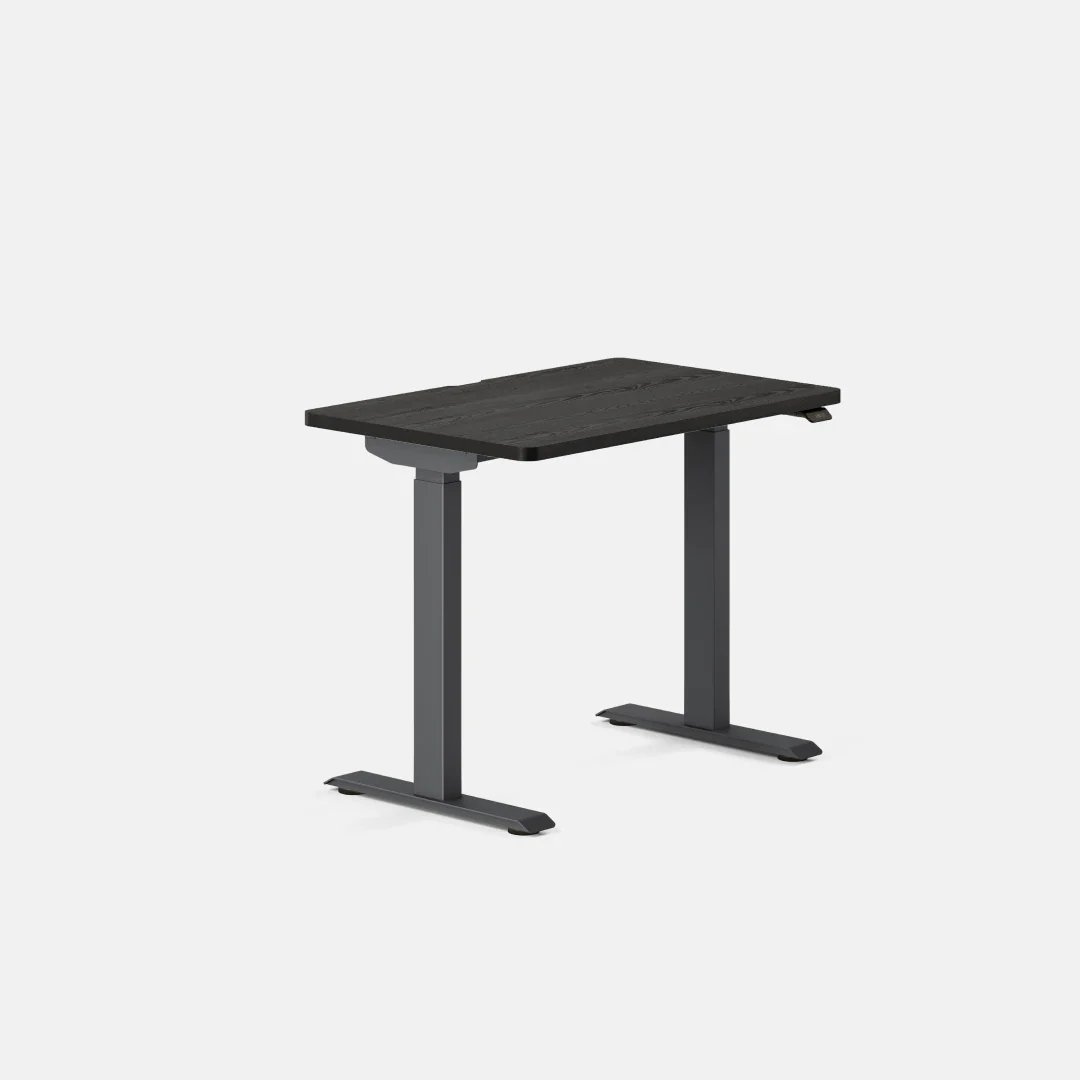Duo Standing Desk - Image 151