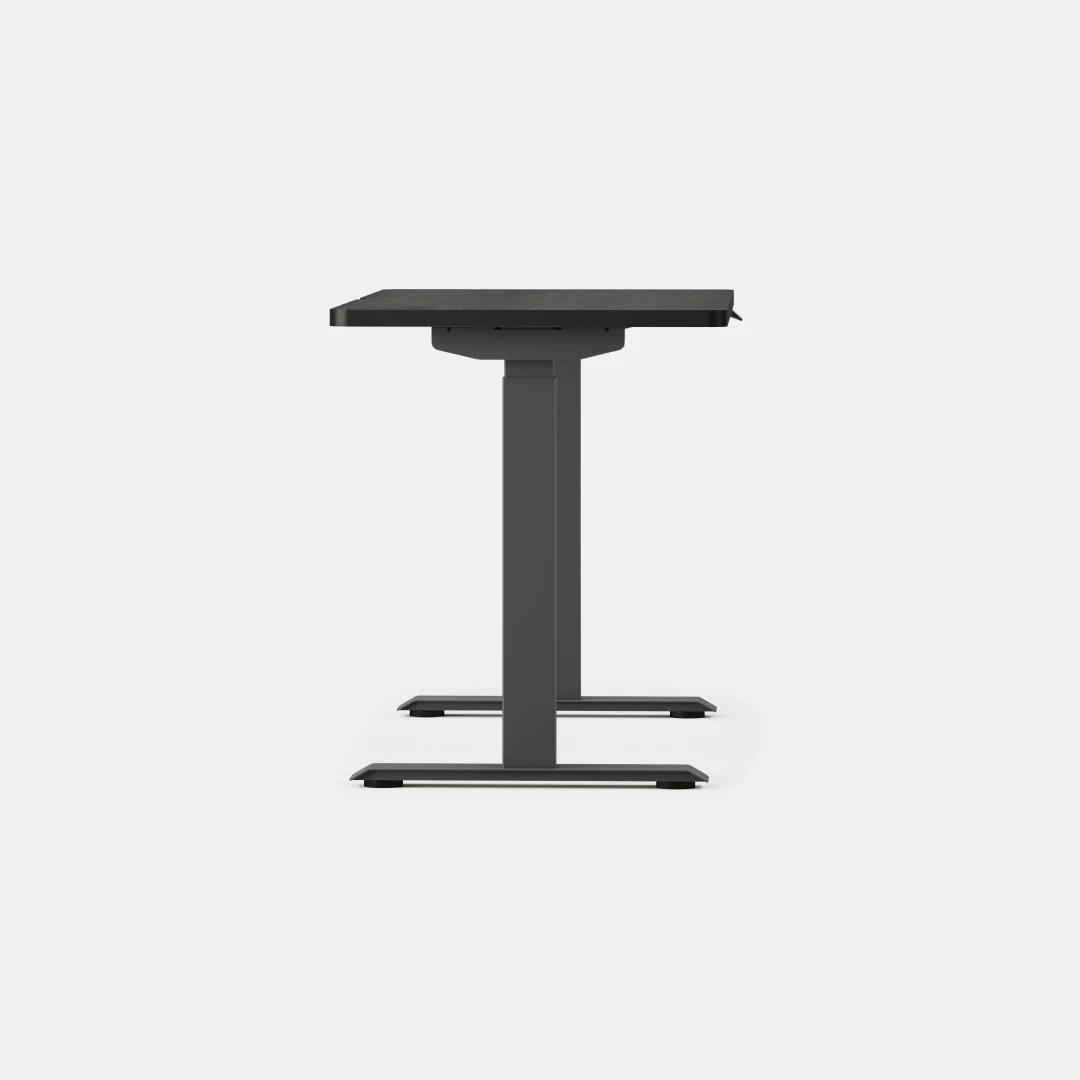 Duo Standing Desk - Image 154