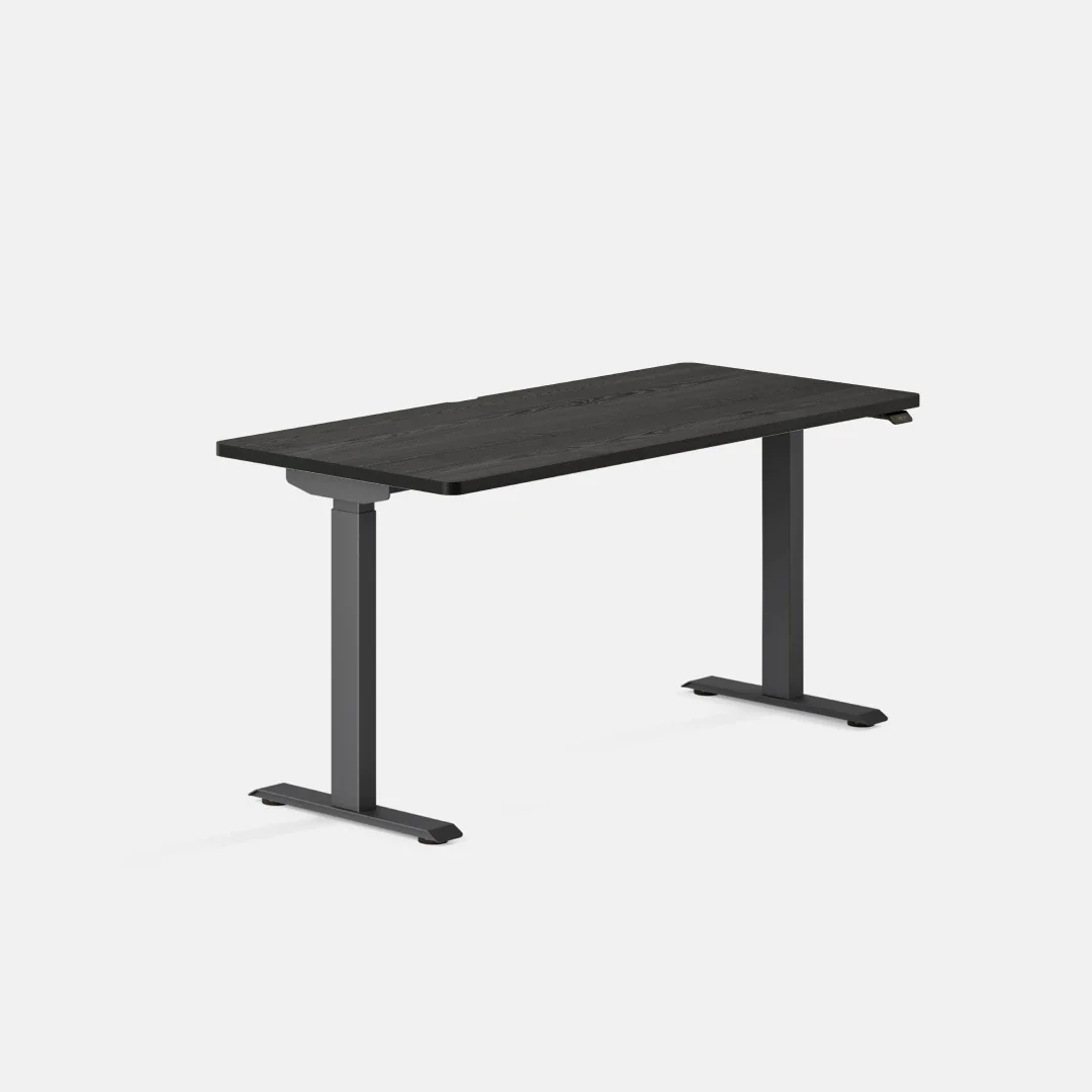 Duo Standing Desk - Image 155