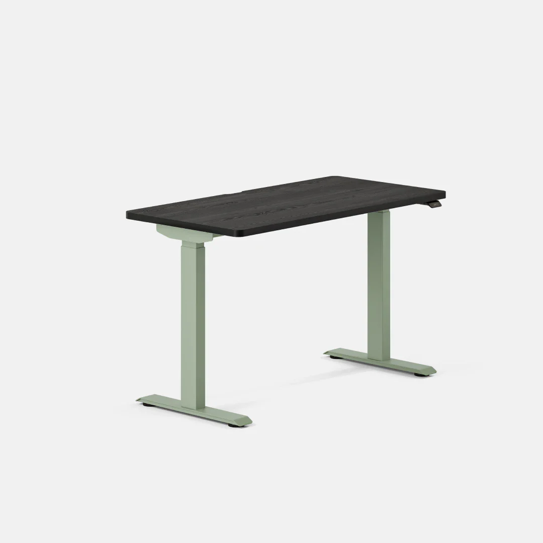 Duo Standing Desk - Image 159