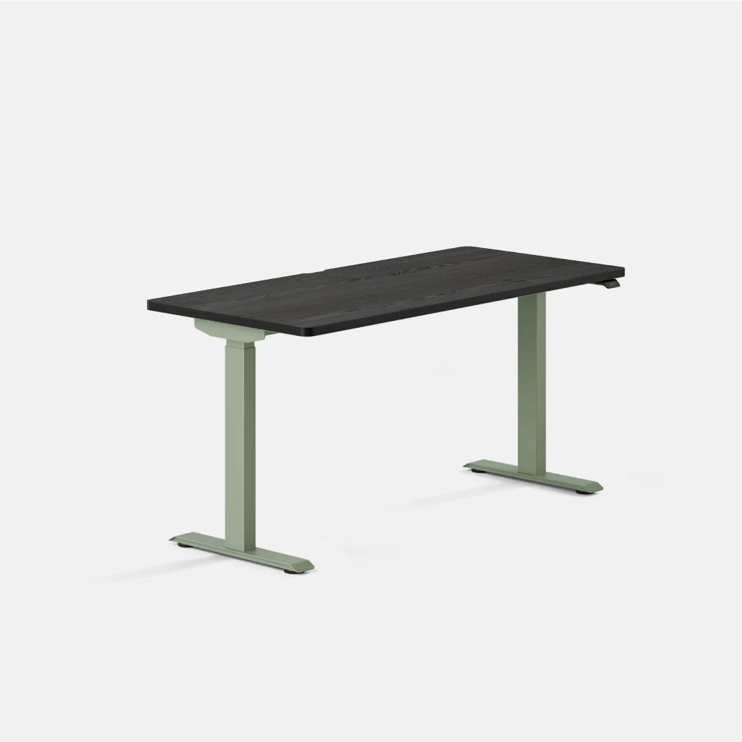 Duo Standing Desk - Image 161