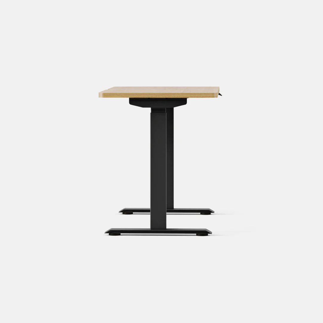 Duo Standing Desk - Image 166