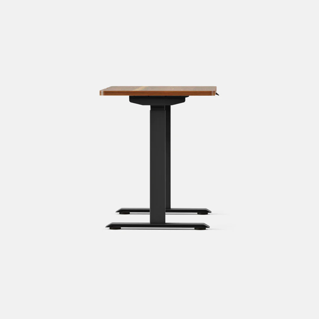 Duo Standing Desk - Image 176