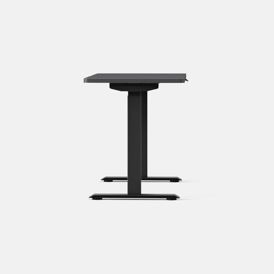 Duo Standing Desk - Image 184