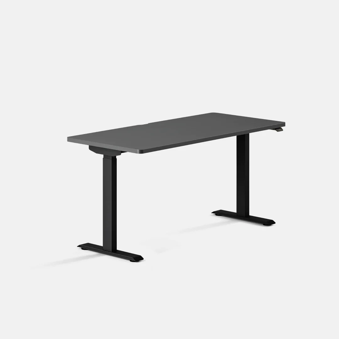 Duo Standing Desk - Image 185