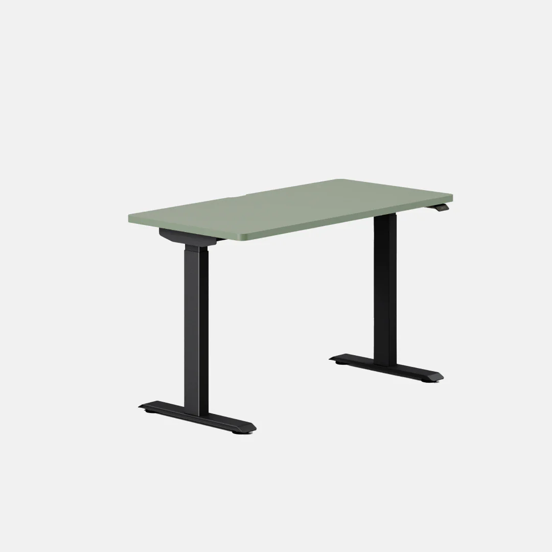Duo Standing Desk - Image 189