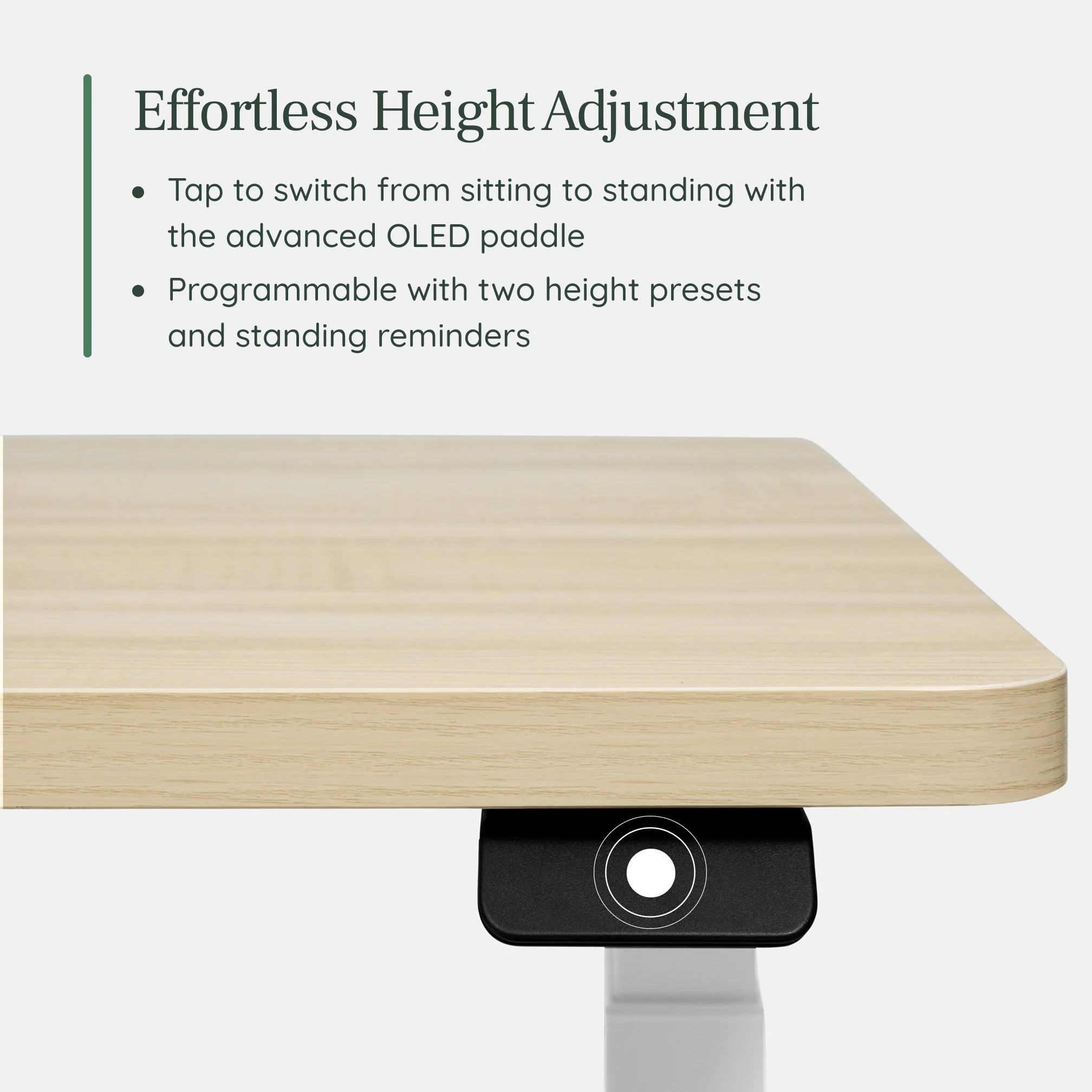 Duo Standing Desk - Image 201