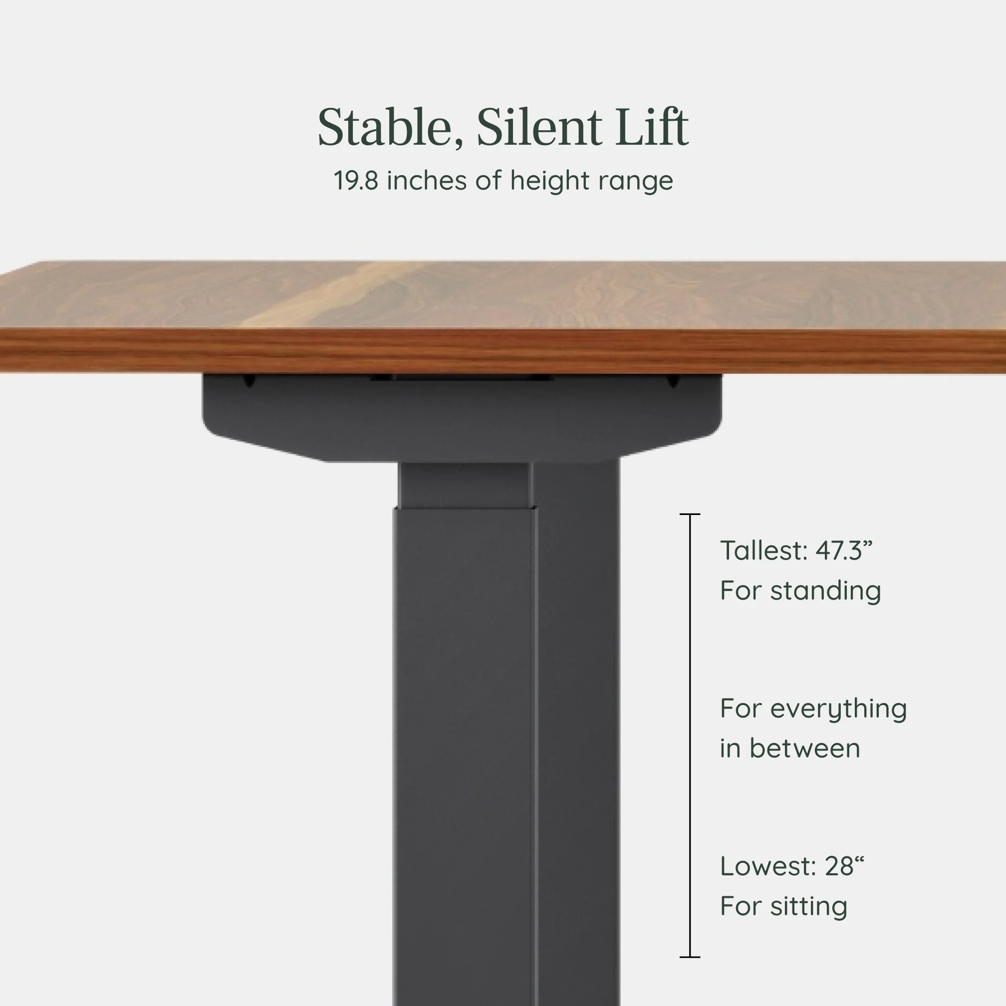 Duo Standing Desk - Image 202