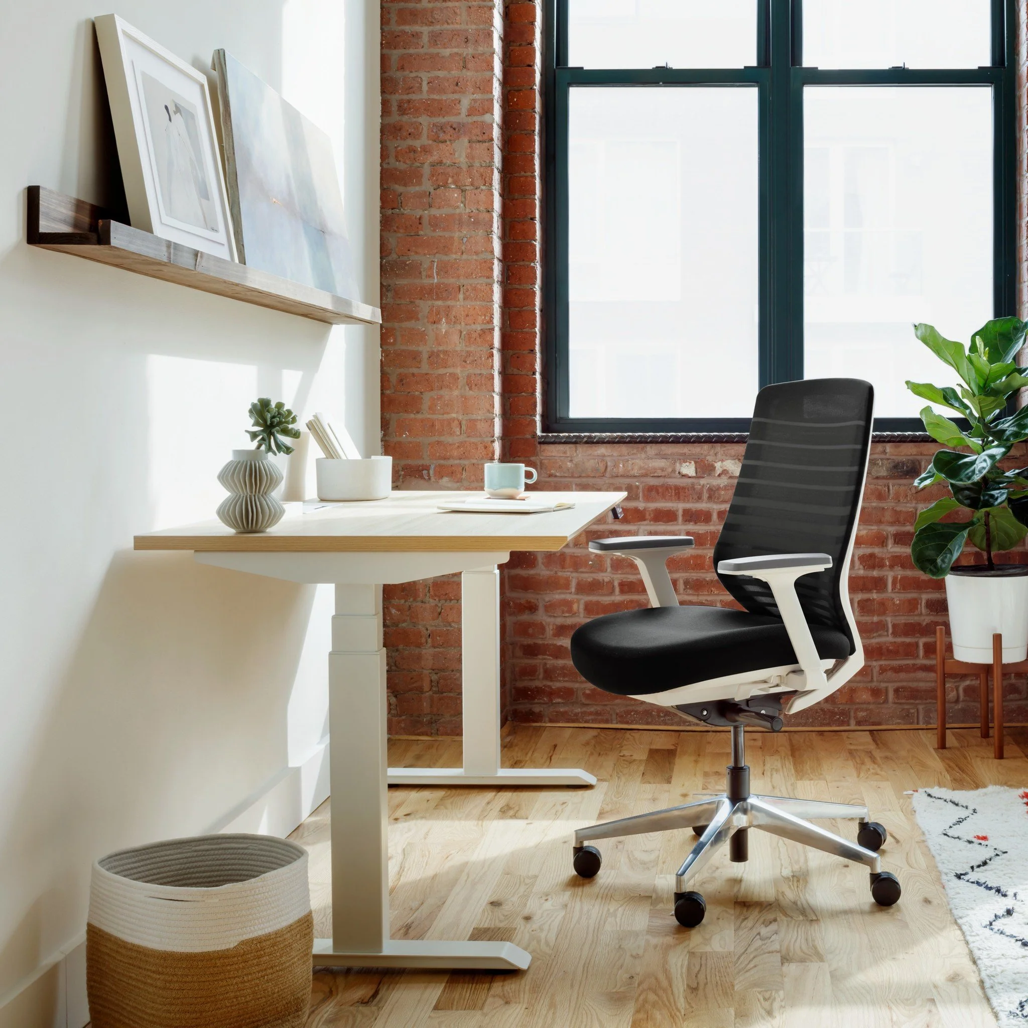 Ergonomic Standing Bundle - Image 13